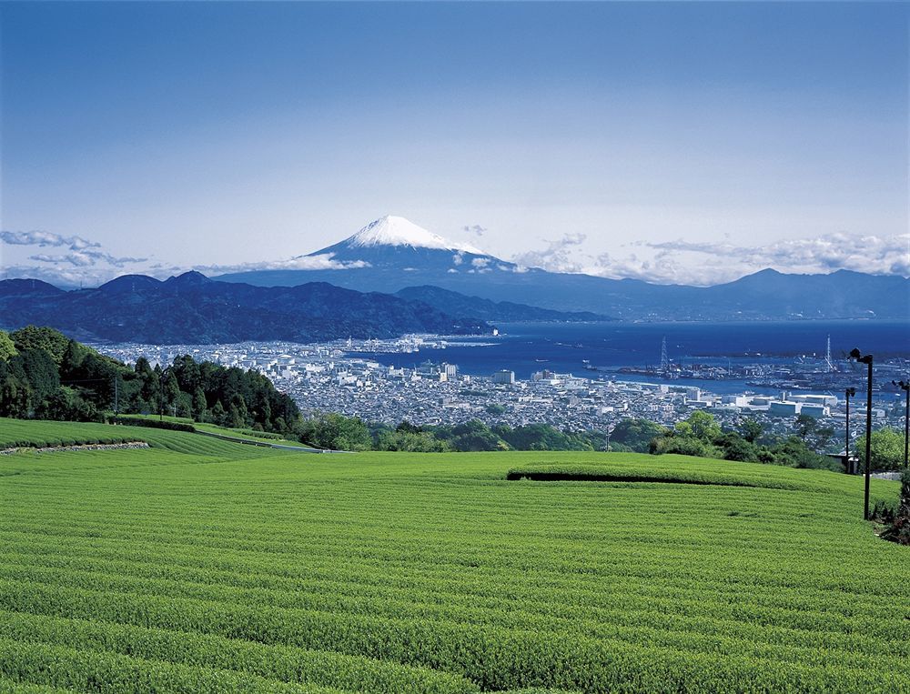 Shizuoka Kita Washington Hotel Plaza Zewnętrze zdjęcie